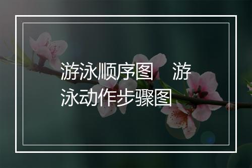 游泳顺序图　游泳动作步骤图